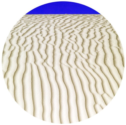 Albert Delamour, Une photographie sereine à New York