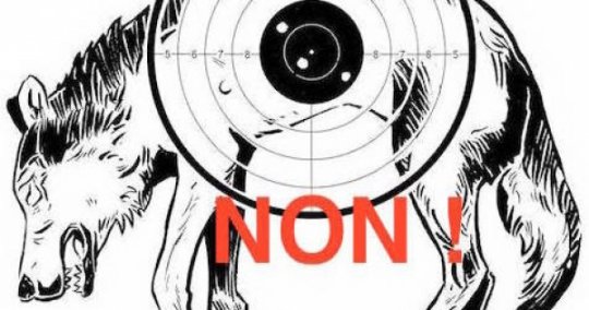 Pétition : Ségolène Royale : Sauvez les Loups en acceptant de prendre les mesures nécessaires en urgence