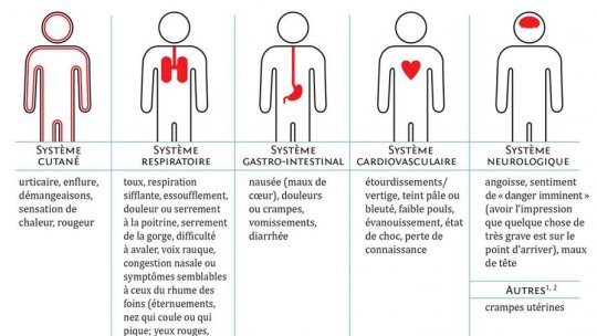 Allergie à la pénicilline : définition, symptômes, vrais dangers et faux diagnostics