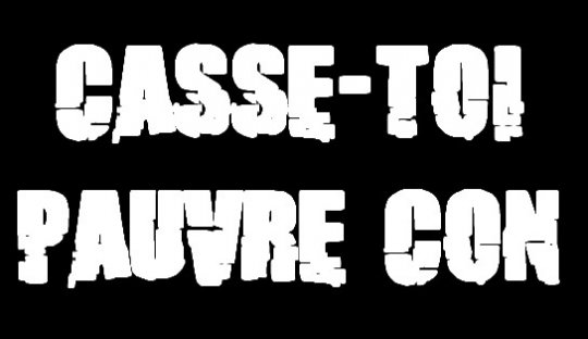 "Casse-toi pauvre con". Une série humoristique est née sur le Web inspirée des frasques langagières du Président