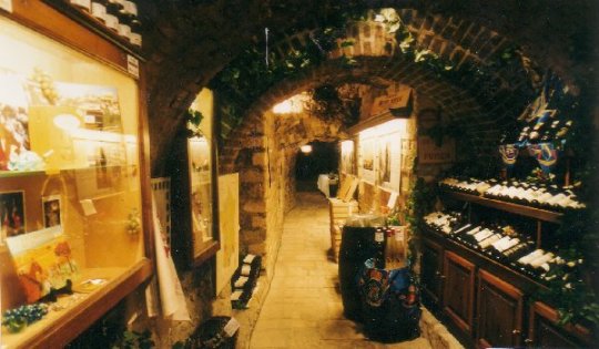 LE MUSEE DU VIN DE PARIS