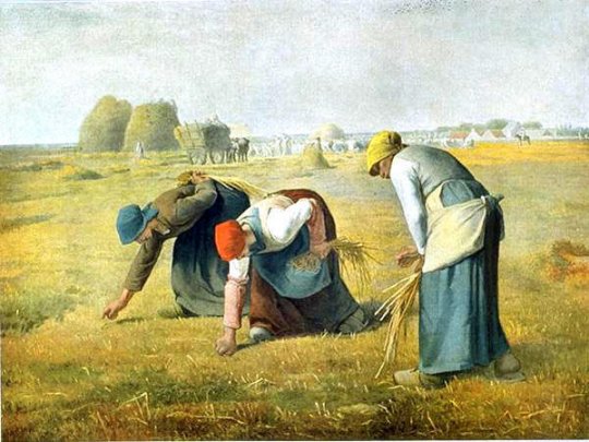 Le glanage alimentaire comme moyen de survie 