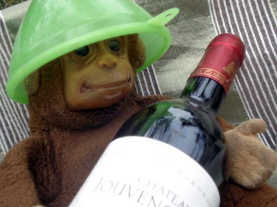 L'éthanol dans la picole, c'est la santé !