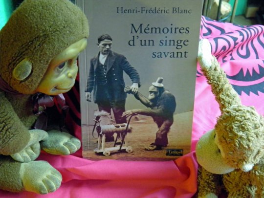 « Le singe est l'avenir de l'homme » !