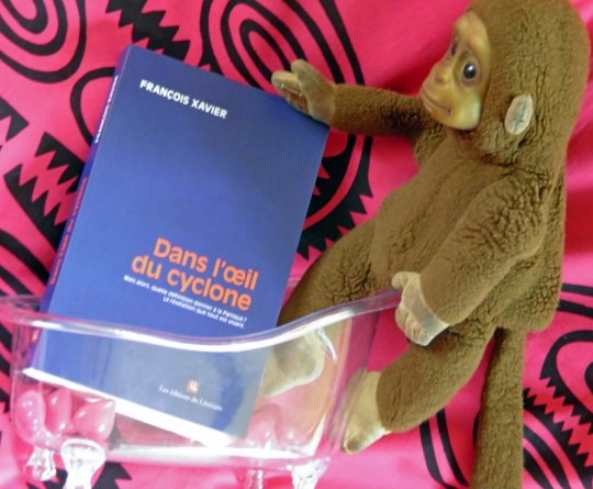 Plongez en apnée « Dans l'œil du cyclone » de François Xavier !