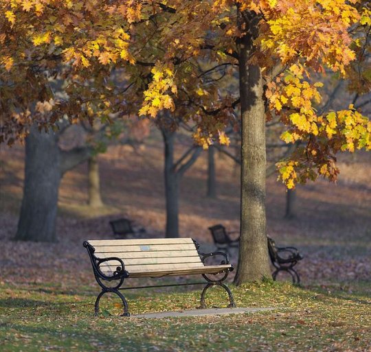 Premier amour, la blessure fondatrice dont on ne guérit jamais vraiment