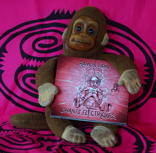 Ramon Pipin : « chants électriques », branchés sur secteur éclectique !